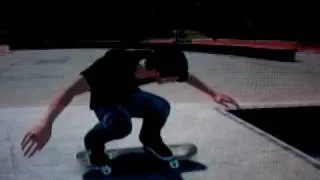 Skate 3 - Dark catch back flip