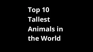 Top 10 Tallest Animals in the World || Amazing Animals