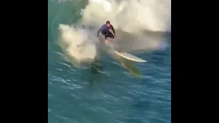 Kook of The Day Super Dumb Surfers with Huge Waves #kook #shorts #surfing #surf #malibu #hawaii