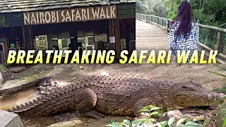 A HEARTWARMING VISIT AT THE NAIROBI SAFARI WALK// KENYA'S WILDLIFE