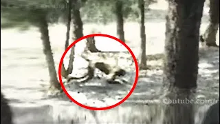 25 Unsolved Mysteries That Cannot Be Explained | Compilation