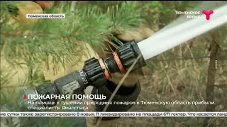 Тушить природные пожары помогут специалисты Ямалспаса | Тюменская область