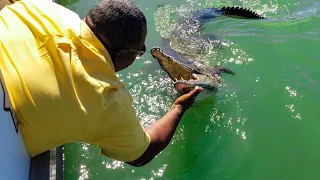 Black River on the Safari | This is Jamaica