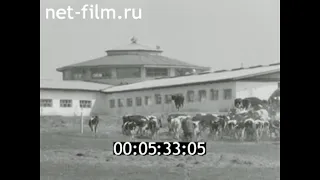 1985г. колхоз Красный Октябрь. Солецкий район Новгородская обл