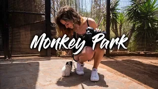 Monkey Park - Tenerife (VLOG)