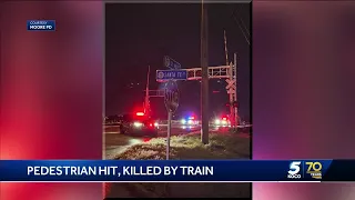 Pedestrian hit, killed by train
