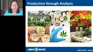 Automating Cannabis Testing with LIMS and Laboratory Automation