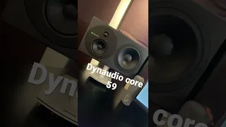 Dynaudio core 59