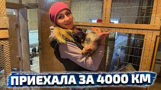 Ждала ее 6 суток! Дела в деревне не заканчиваются!