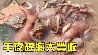 [Xiao Yu's Midnight Sea Drive] Crabs  Octopus  Snails & Fish Fairy Encounter!