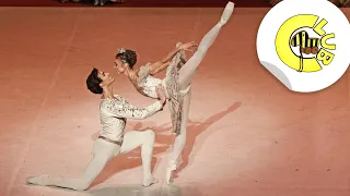 Das Leben als Ballett-Profi | Tigerenten Club | SWR PLUS