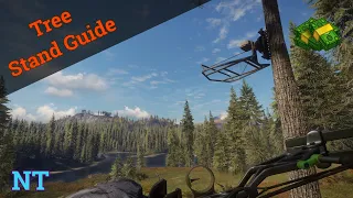 How to Use Tree Stands The Hunter Call Of The Wild