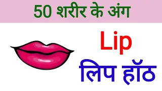 शरीर के अंगों के नाम body parts name । name of body parts। body parts name Hindi and English
