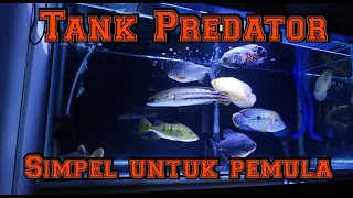 Setup/Setting Tank Predator Untuk Pemula