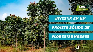 Você quer investir em um projeto sólido criando florestas nobres de mogno africano?