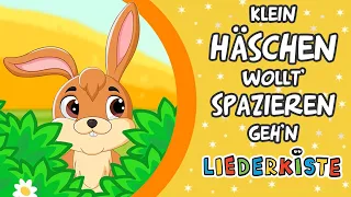 Klein Häschen wollt' spazieren gehn - German Nursery Rhymes | Liederkiste
