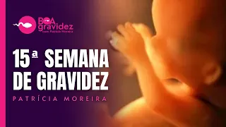 15 SEMANAS DE GRAVIDEZ - Gravidez Semana a Semana