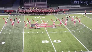 Pulaski Dance Team Football Pom 2018