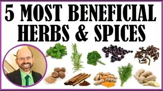 The 5 Most Beneficial Herbs & Spices!