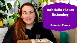 Gabriella Plants Unboxing | Customer Service Review | Graceful Plants