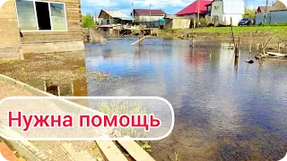 Нужна Ваша помощь! Последствия после наводнения в Оренбурге.