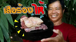 Eating Delicious In Jungle - Cooking Easy Grilled Marinated Beef with Bitter Dipping Sauce