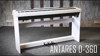 Цифровое Пианино Antares D360