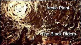 Arctic Plant - The Black Riders. 2019. Progressive Rock. Full Album