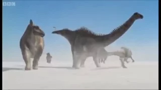 We Love Dinosaurs - Super Psycho Love