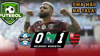 Grêmio 0 x 1 Flamengo  Melhores Momentos  HD Brasileiro 2019