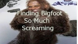 Finding Bigfoot Screaming Remix