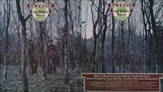 Gay & Terry Woods - Backwoods [Full Album] (1975)