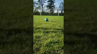 insane knuckleball