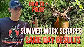 “One Last Buck” EP.3 - Summer Mock Scrapes and Proof They Work - Scent Rope And Deer Scent Combo.