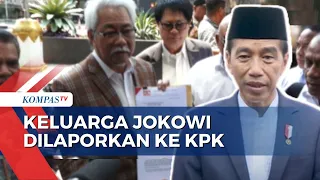 Alasan Tim Pembela Demokrasi Indonesia Laporkan Keluarga Jokowi ke KPK