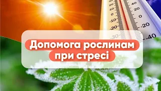 Допомога рослинам при стресі