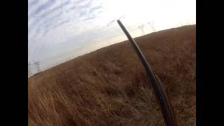 Illinois Pheasant Hunt