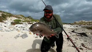 Fishing a new Spot  | Nice mixed bag | Big Galjoen