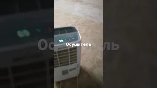 Осушитель после штукатурки