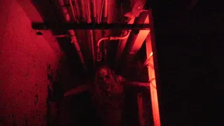 Queen Mary Dark Harbor 2019 B340 Maze