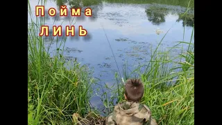 Рыбалка Линь Пойма июль2021 озёра Куйбышева