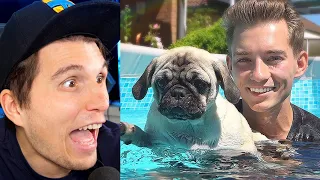 Paluten REAGIERT auf Die HUNDE WELPEN lernen SCHWIMMEN!