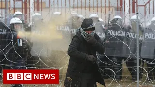 Polish forces use tear gas on migrants trying to cross from Belarus - BBC News