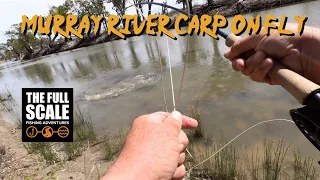Fly Fishing For Carp | Walking the banks | The Full Scale