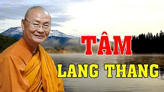 Tâm Lang Thang, Sự Chú Ý Và Thiền Định | HT Viên Minh Giảng | Phật Pháp Vấn Đáp