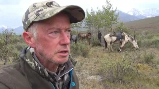 Dall Sheep Hunting In The Alaska Mountain Range