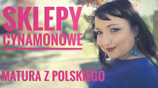 Sklepy cynamonowe - streszczenie, motywy, wyjaśnienie pojęć, problematyka. Lektury maturalne.