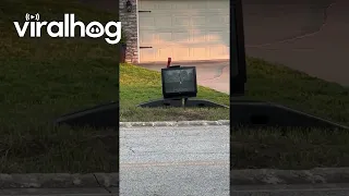 Neighbor's Old Television Ominously Cackles || ViralHog