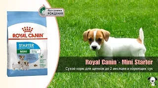 Сухой корм для щенков до 2 месяцев и кормящих сук миниатюрных пород · Royal Canin Mini Starter