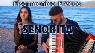 SENORITA Shawn Mendes ~ Fisarmonica e Voce / Domi Monastra_(Duali)